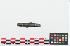 Foto von Bronzeperlarmreif (NHMW-PRAE-025035)